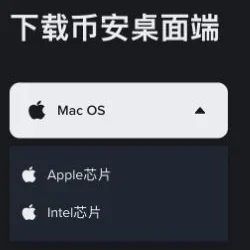 币安Mac桌面端的芯片选择